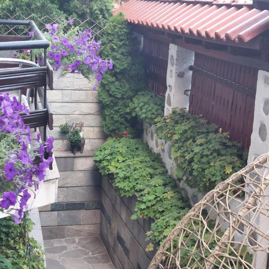Guest House Planinski Zdravets Bansko Bagian luar foto