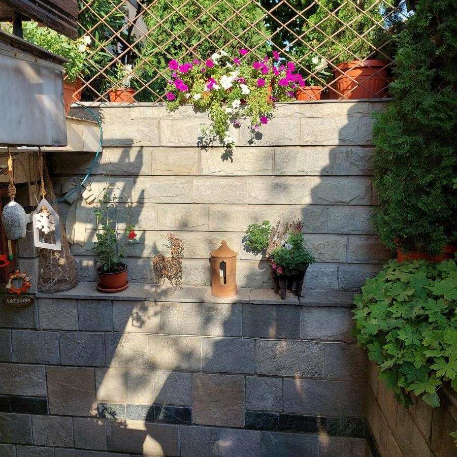 Guest House Planinski Zdravets Bansko Bagian luar foto