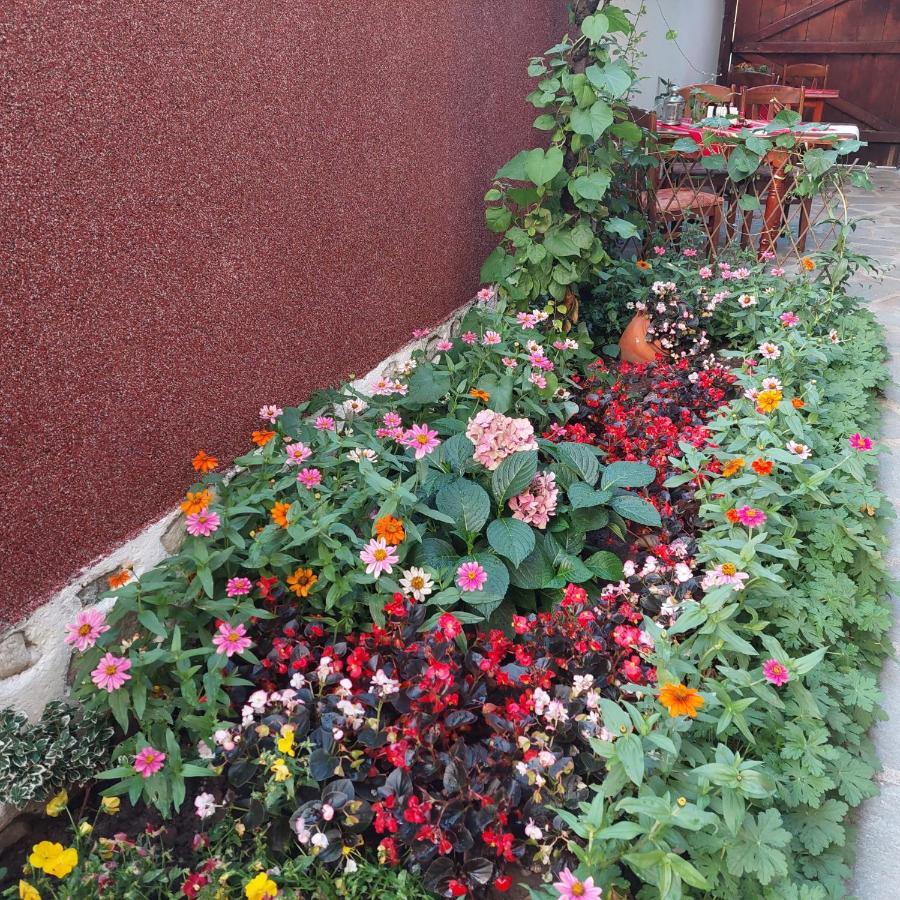 Guest House Planinski Zdravets Bansko Bagian luar foto