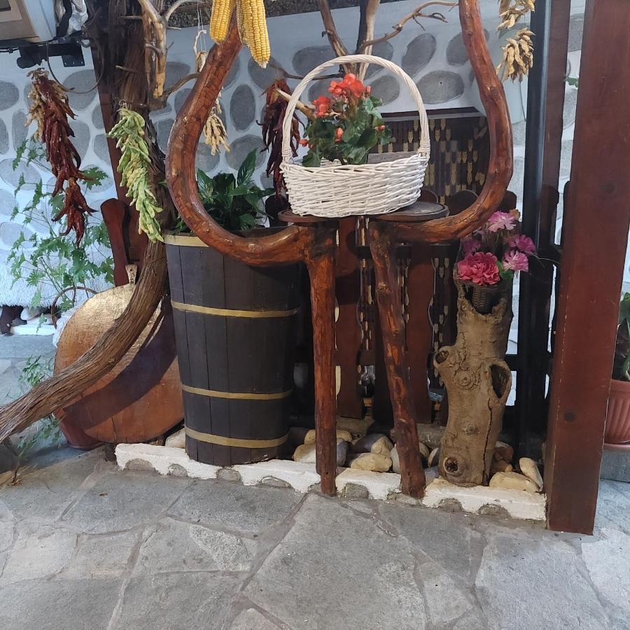 Guest House Planinski Zdravets Bansko Bagian luar foto