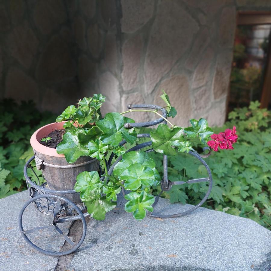 Guest House Planinski Zdravets Bansko Bagian luar foto