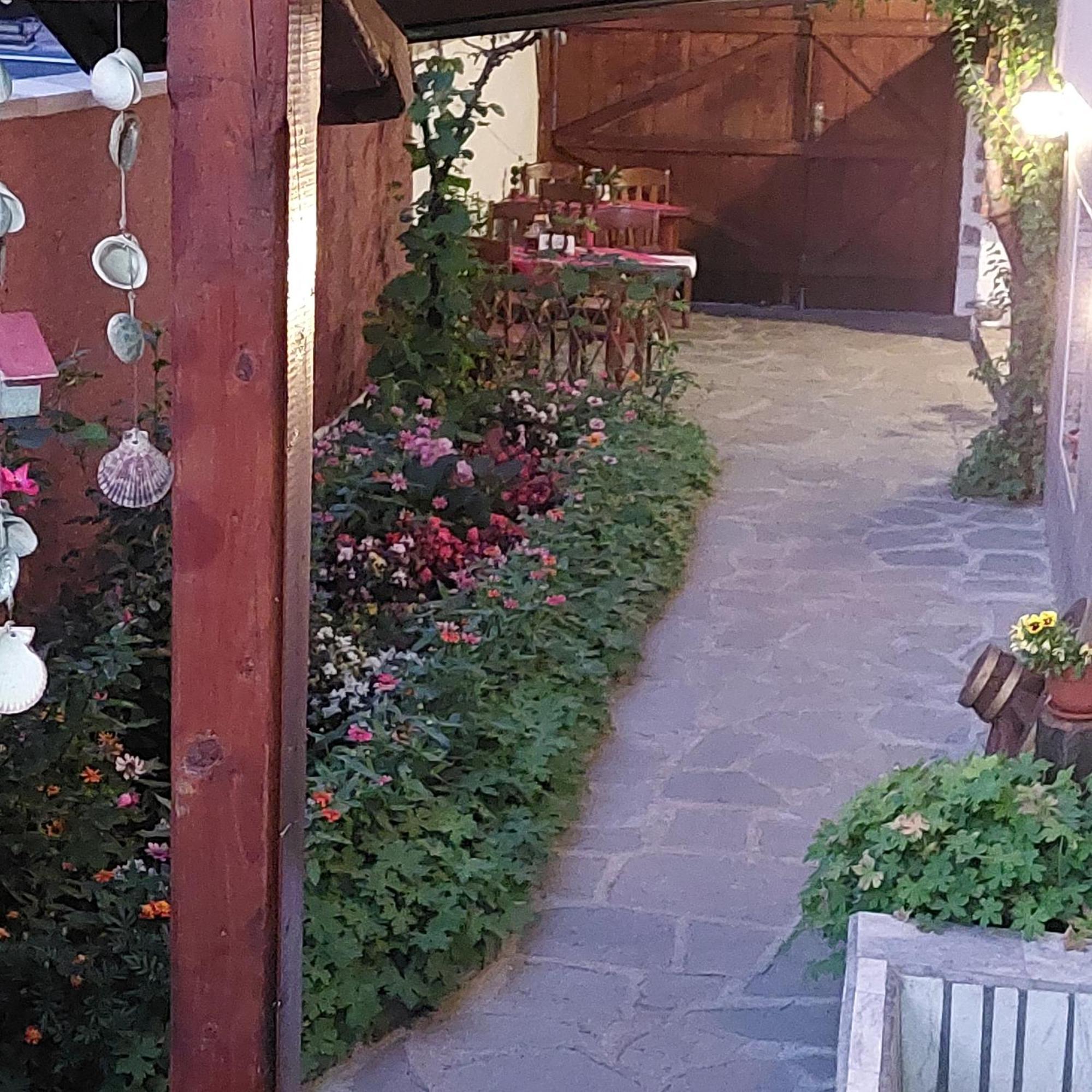 Guest House Planinski Zdravets Bansko Bagian luar foto