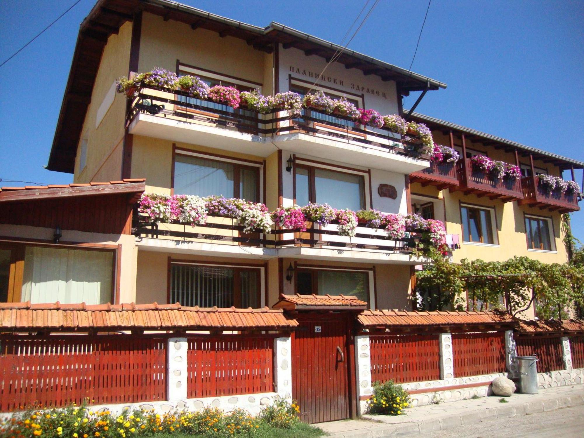 Guest House Planinski Zdravets Bansko Bagian luar foto