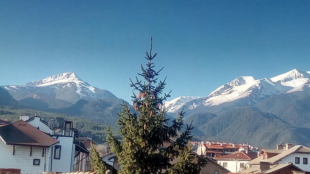 Guest House Planinski Zdravets Bansko Bagian luar foto
